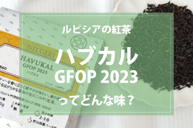 爽やかな香りとすっきりした味わいのニルギリ紅茶「ハブカル GFOP 2023」をレビュー